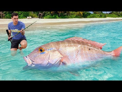 I Caught A Giant Sea Monsters to Feed My Pets...