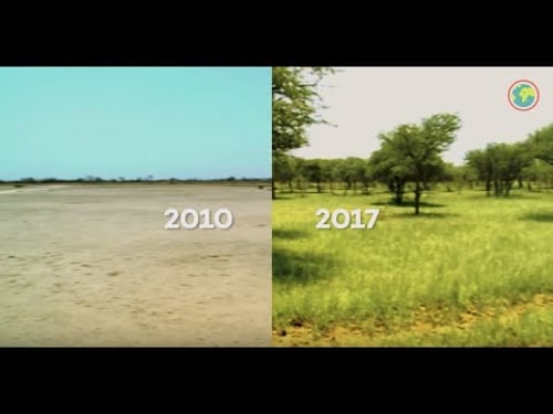 From deserts to forest: our project in Burkina Faso