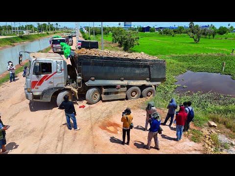 Initial phase Starting Landfill Video Using Dump Truck 25.5Ton & Skillful Dozer pushing Soil,Mix VDO