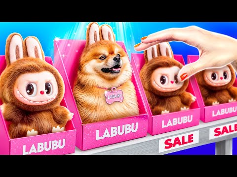 Stavíme malý domeček pro domácí mazlíčky! Labubu v reálném životě!