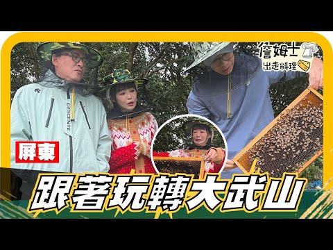 🔎《姆士尋寶去》酸甜滋味太驚豔!大武山蒲姜花蜜 一嚐就愛上!老詹也說讚!霧台部落七彩煙燻雞 到底有多好吃?