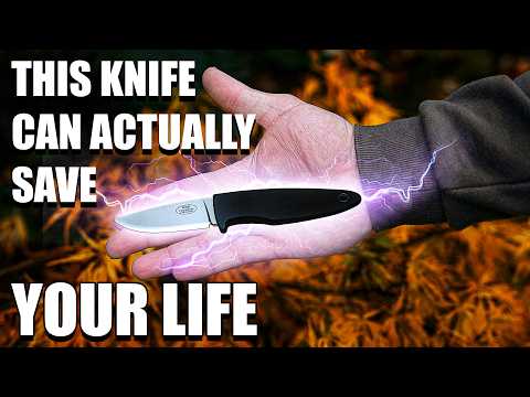 How this EDC Knife can Actually save your Life! Fallkniven Wm1