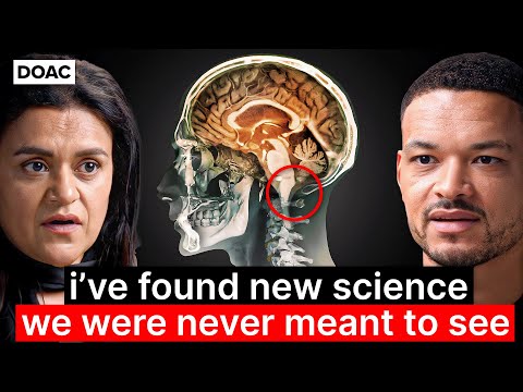 Neuroscientist (Dr. Tara Swart): Evidence We Can Communicate After Death!