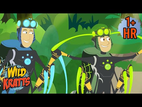 Secrets of the Spider's Web 🕷️🕸️ | FULL EPISODES | Wild Kratts | 9 Story Kids