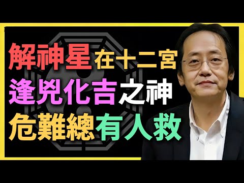 解神星在十二宮,逢兇化吉之神,危難總有人救!#紫微鬥數 #倪海廈 #解神星 #命理 #逢兇化吉 #貴人運 #紫微鬥數教學 #命盤分析 #傳統文化 #鬥數入門 #十二宮 #輔星 #命理學