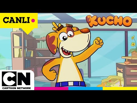 🔴CANLI 🔴SIRADAN KÖPEK KUCHO'NUN SIRADIŞI MACERALARI | 7/24 KESİNTİSİZ @CartoonNetworkTurkiye