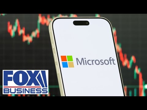 SOFTWARE STOCKS: This has been a ‘story of revisions,’ says Tyler Radke