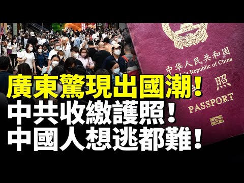 廣東驚現出國潮!中共收繳護照!中國人想逃都難!2025年護照難辦 出入境限制更嚴! #看大陸 #睇大陸