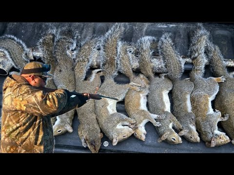Tree to Table - Squirrel Hunt! Catch & Cook