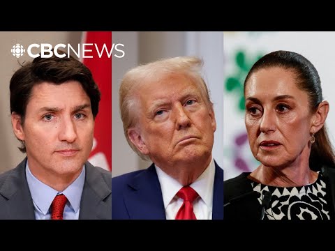 Canadian, Mexican plan to undo tariffs should focus on Americans, not Trump: ex-trade negotiator