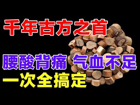 老年人养生就靠它!千年古方之首,不管是腰酸背痛还是气血不足,用它全搞定【健康大诊室】