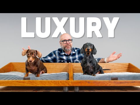 My Dogs Demand Luxury, So I Made Them This…