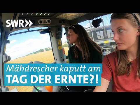 Landmaschinen im Einsatz: Die Lohnerinnen im Wettlauf gegen das Wetter bei der Getreideernte
