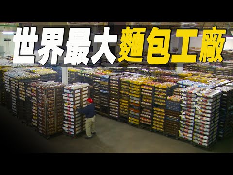 走進美國最大的麵包超級工廠,一睹麵包製作過程背後的秘密,舊金山酸麵包竟一直使用160年前的老麵團 #大脑洞记事