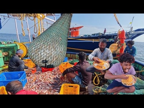 WOW💢‼️Final Day Fishing In Lots Of Parrot Fish Caught In Kerala Fishing‼️💯