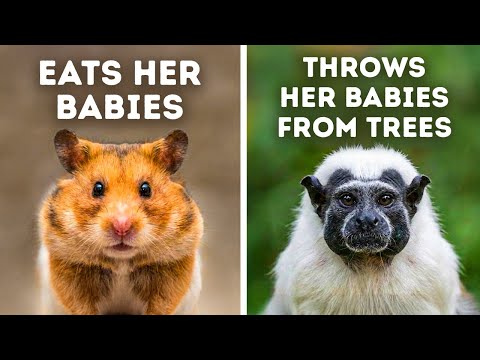 Animals That Are Shockingly Bad Parents