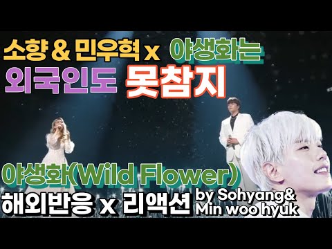 sohyang legendary performance, wildflower reaction