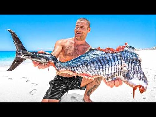 Surviving In Tiger Shark Lagoon Until I Catch My Own Food