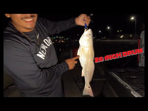 FIRST FISHING HEARTBREAK FOR ROOKIE & WATERSIDE ADVENTURE!!! #nlbn #redfish #minirod #fishing #fish