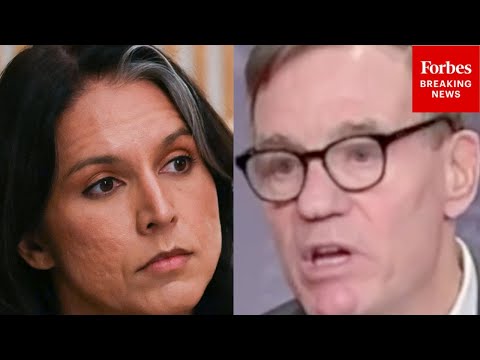 BREAKING NEWS: Mark Warner Demands Tulsi Gabbard Testify In Front Of Senate Over Fulton County Raid