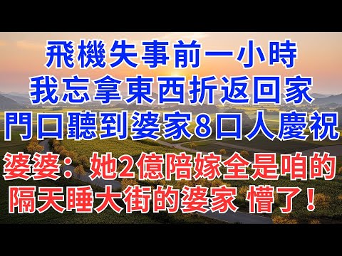 飛機失事前一小時,我忘拿東西折返回家,門口聽到婆家8口人慶祝,婆婆:她2億陪嫁全是咱家的,隔天睡大街的婆家懵了!#為人處世#生活經驗#情感故事#故事#小說#戀愛#情感#婚姻