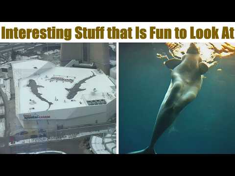 Interesting Photos People Couldn’t Help But Share Online