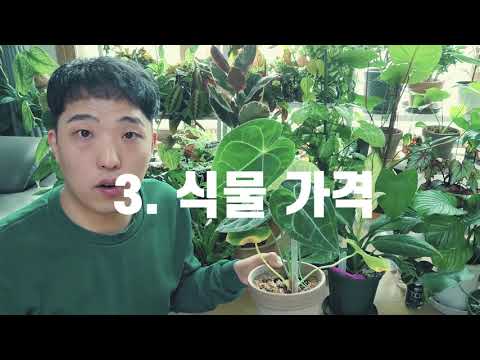 10 Things I Didn't Know Before Growing A Planting