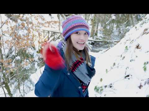 Two classic German cherry cakes: Kirschstreusel & Allgäuer Kirschkuchen German recipe #43 两种德国樱桃蛋糕
