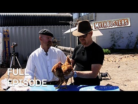 Feathered Firepower: Can a Chicken Gun Simulate Bird Strikes? | MythBusters | S2 E28 | Full Episode