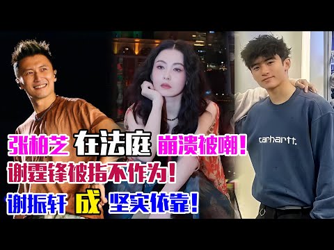 張柏芝在法庭崩潰被嘲,謝霆鋒被指不作為,謝振軒成堅實依靠!兒子是她的“滿分答卷”#張柏芝#謝霆鋒#王菲