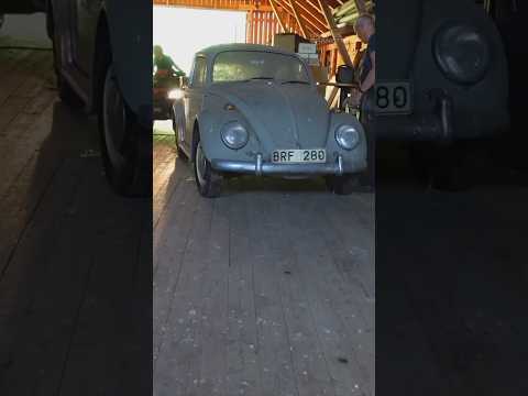 VW Beetle Barn Find rescued and given a new life!