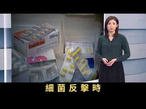 TVB新聞透視 細菌反擊時 直至四十年代,人類發現了盤尼西林,然而,細菌並不會坐以待斃。每二十分鐘,細菌便會產生下一代,在各方面大量使用抗生素下,近年終於出現了一些「無藥可治」的抗藥性惡菌。