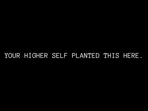 your soul wanted you to find this before january