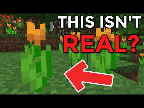Can YOU trick These YOUTUBERS with these Fake Minecraft Images?