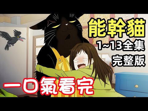 一口氣看完【能幹貓今天也憂鬱】大結局,1~13全集,完整版動漫解說