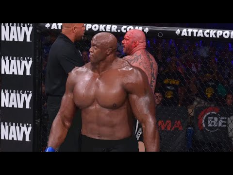 WOW... WWE Stars Who DESTROYED MMA Fighters!