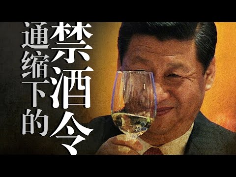 【禁酒令】让经济雪上加霜:近年无脑决策盘点|请「科学决策」让权力慢下来|共同富裕|动态清零