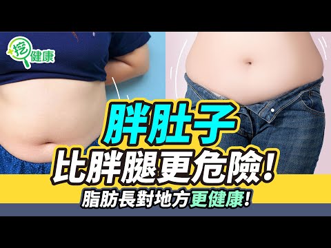 胖肚子比胖腿更危險!脂肪長對地方更健康!【挖健康 精華】#韋汝 #曾嶔元 #胖肚子 #胖腿 #脂肪