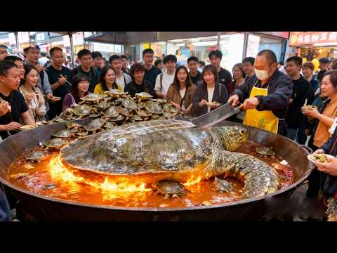 武汉平价甲鱼锅,3只甲鱼只要138元,还送3只牛蛙天天卖爆#麦总去哪吃