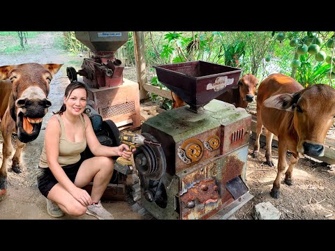 The Genius Girl’s Challenge: Restoring the Village’s Only Rice Milling Machine