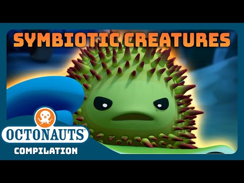 @Octonauts - π¦ Symbiotic Creatures π | Back to School Special! | Full Episodes