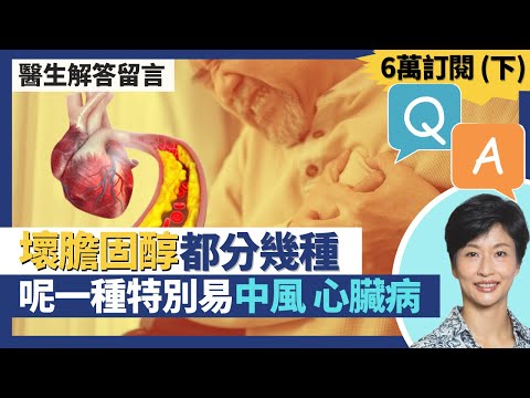 Q&A六萬訂閱解答觀眾健康問題(下)|內臟脂肪點減、基礎代謝率點提升 維他命E針對性改善脂肪肝?糖尿病藥會否反而傷腎?低密度膽固醇都分幾種 某種壞膽固醇中風心臟病風險尤其高|王建芳醫生|人類健康研究所