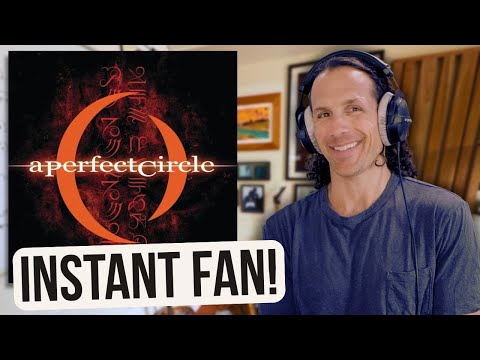 Jazz Musician Reacts: A Perfect Circle β 3 Libras (WOW)