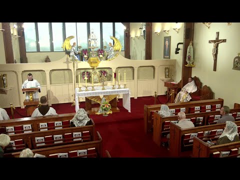 Daily Readings and Homily - 2025-10-02 - Fr. Patrick