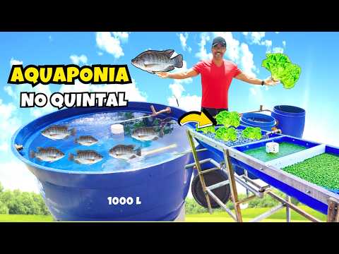 How to Make a Grow Bed for Aquaponics with Tilapia