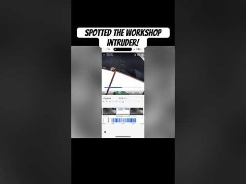 Someone’s Been Living In My Workshop Roof! #reolink