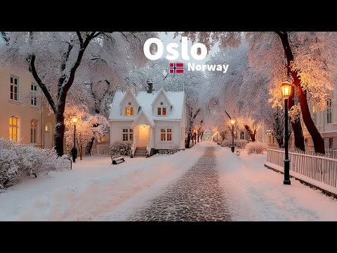 OSLO, NORWAY 🇳🇴 — FREEZING COLD SNOW WALK | 4K HDR 60FPS WINTER TOUR