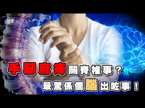 手腳麻痺關脊椎事?最驚係個腦出咗事!| 健康關注組 | EP316 | 手腳麻痺 | 脊椎病 | 腦腫瘤 | 吳雲甫 | 黃芳雯 | HOY TV 77台
