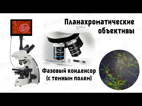 Обзор: Mикроскопы Levenhuk MED 45 | Фазовый контраст. Темное и светлое поле!