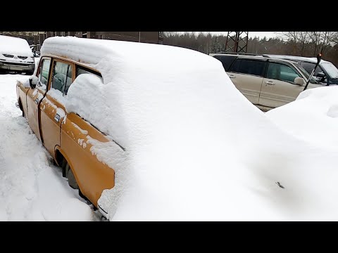 Поехал в Тамбовскую область за Москвичом, но... 🤦